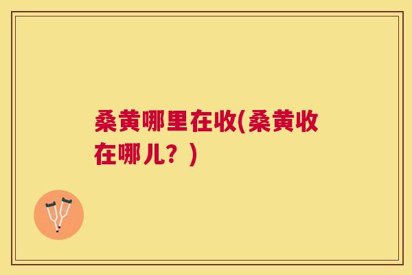 桑黄哪里在收(桑黄收在哪儿？)