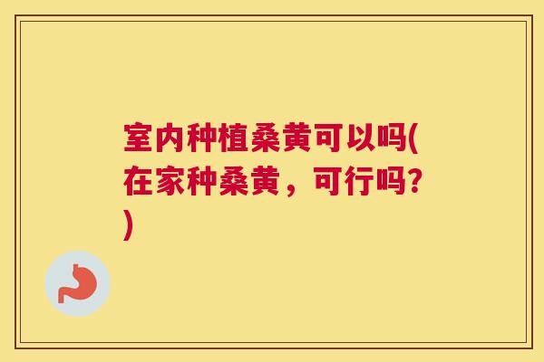 室内种植桑黄可以吗(在家种桑黄,可行吗?) 室内种植桑黄可以吗(在家种桑黄,可行吗?)