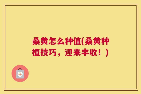 桑黄怎么种值(桑黄种植技巧,迎来丰收!) 桑黄怎么种值(桑黄种植技巧,迎来丰收!)