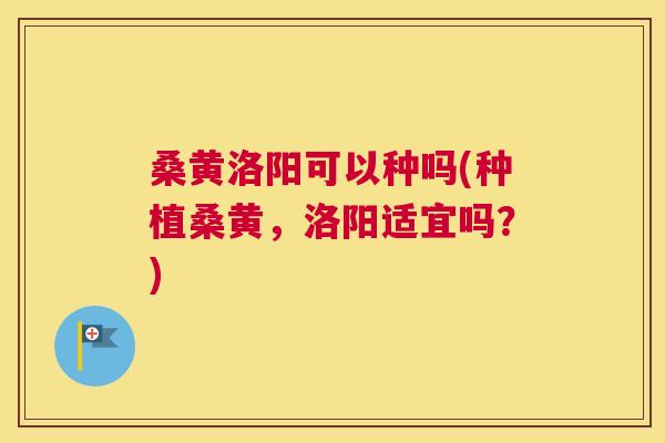 桑黄洛阳可以种吗(种植桑黄,洛阳适宜吗?) 桑黄洛阳可以种吗(种植桑黄,洛阳适宜吗?)