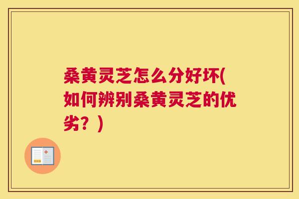 桑黄灵芝怎么分好坏(如何辨别桑黄灵芝的优劣?) 桑黄灵芝怎么分好坏(如何辨别桑黄灵芝的优劣?)