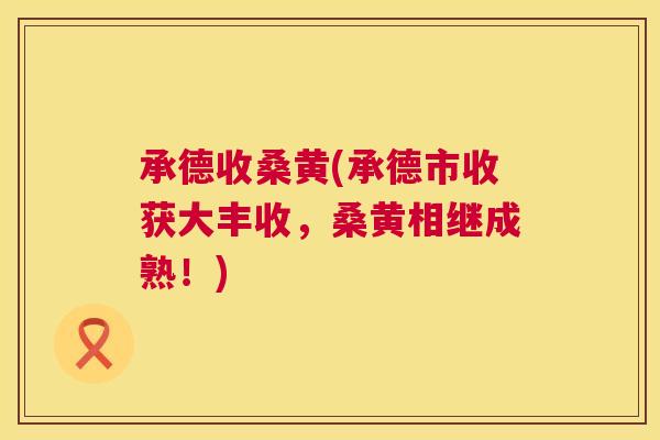 承德收桑黄(承德市收获大丰收,桑黄相继成熟!) 承德收桑黄(承德市收获大丰收,桑黄相继成熟!)