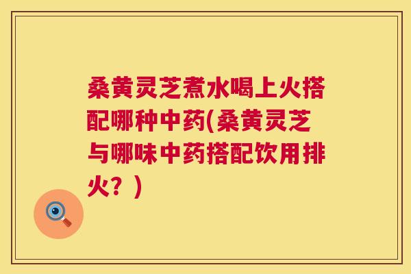 桑黄灵芝煮水喝上火搭配哪种(桑黄灵芝与哪味搭配饮用排火?) 桑黄灵芝煮水喝上火搭配哪种(桑黄灵芝与哪味搭配饮用排火?)