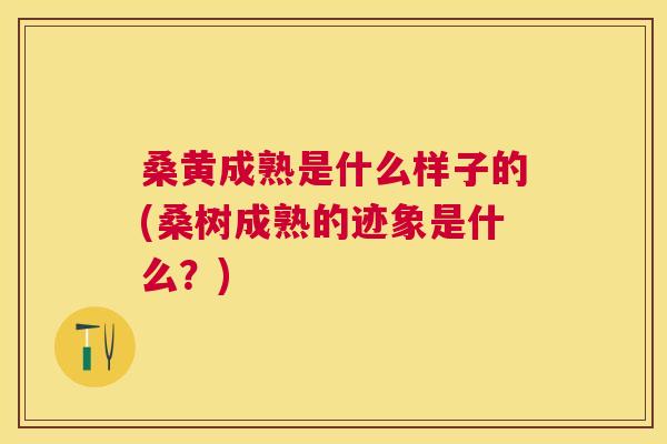 桑黄成熟是什么样子的(桑树成熟的迹象是什么?) 桑黄成熟是什么样子的(桑树成熟的迹象是什么?)