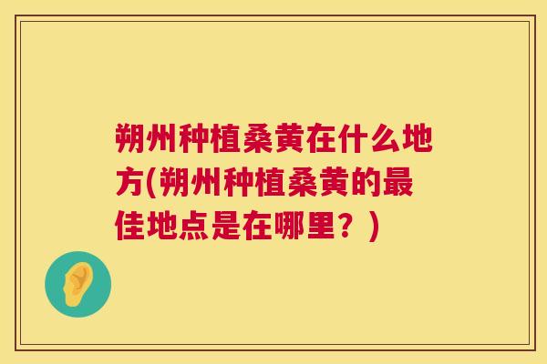朔州种植桑黄在什么地方(朔州种植桑黄的佳地点是在哪里?) 朔州种植桑黄在什么地方(朔州种植桑黄的佳地点是在哪里?)
