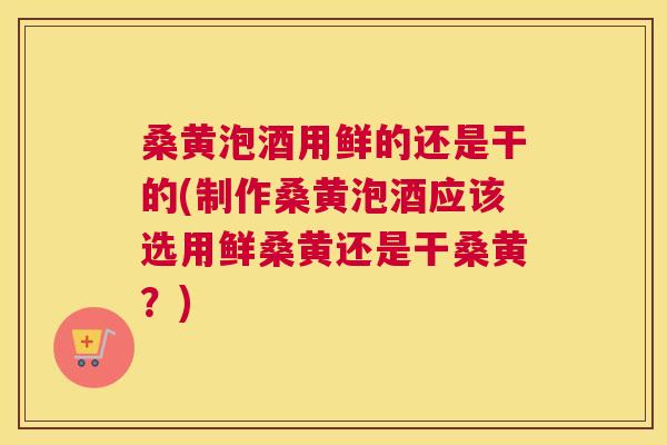 桑黄泡酒用鲜的还是干的(制作桑黄泡酒应该选用鲜桑黄还是干桑黄?) 桑黄泡酒用鲜的还是干的(制作桑黄泡酒应该选用鲜桑黄还是干桑黄?)