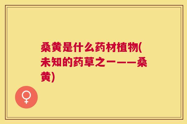 桑黄是什么药材植物(未知的药草之一——桑黄) 桑黄是什么药材植物(未知的药草之一——桑黄)