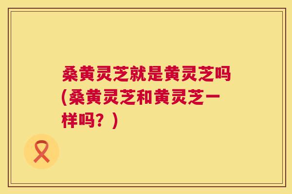 桑黄灵芝就是黄灵芝吗(桑黄灵芝和黄灵芝一样吗?) 桑黄灵芝就是黄灵芝吗(桑黄灵芝和黄灵芝一样吗?)