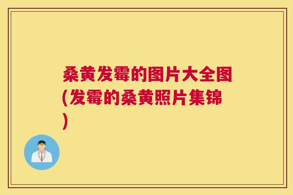 桑黄发霉的图片大全图(发霉的桑黄照片集锦) 桑黄发霉的图片大全图(发霉的桑黄照片集锦)