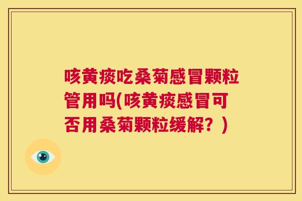 咳黄痰吃桑菊颗粒管用吗(咳黄痰可否用桑菊颗粒缓解?) 咳黄痰吃桑菊颗粒管用吗(咳黄痰可否用桑菊颗粒缓解?)