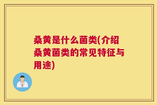 桑黄是什么菌类(介绍桑黄菌类的常见特征与用途) 桑黄是什么菌类(介绍桑黄菌类的常见特征与用途)