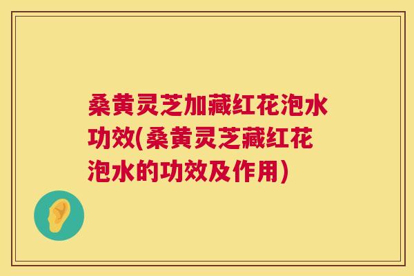 桑黄灵芝加藏红花泡水功效(桑黄灵芝藏红花泡水的功效及作用) 桑黄灵芝加藏红花泡水功效(桑黄灵芝藏红花泡水的功效及作用)