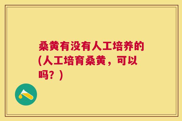 桑黄有没有人工培养的(人工培育桑黄,可以吗?) 桑黄有没有人工培养的(人工培育桑黄,可以吗?)