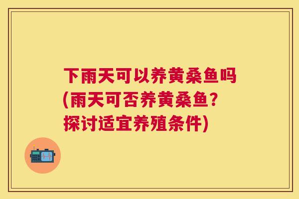 下雨天可以养黄桑鱼吗(雨天可否养黄桑鱼?探讨适宜养殖条件) 下雨天可以养黄桑鱼吗(雨天可否养黄桑鱼?探讨适宜养殖条件)