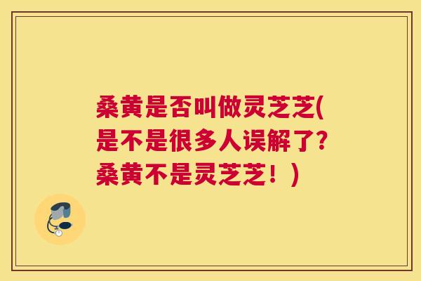 桑黄是否叫做灵芝芝(是不是很多人误解了?桑黄不是灵芝芝!) 桑黄是否叫做灵芝芝(是不是很多人误解了?桑黄不是灵芝芝!)