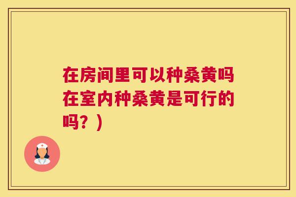 在房间里可以种桑黄吗在室内种桑黄是可行的吗?) 在房间里可以种桑黄吗在室内种桑黄是可行的吗?)