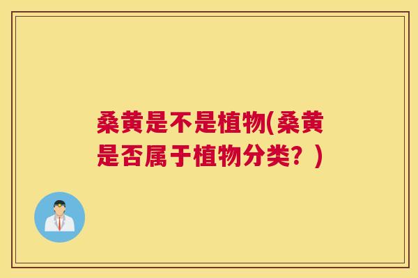 桑黄是不是植物(桑黄是否属于植物分类?) 桑黄是不是植物(桑黄是否属于植物分类?)