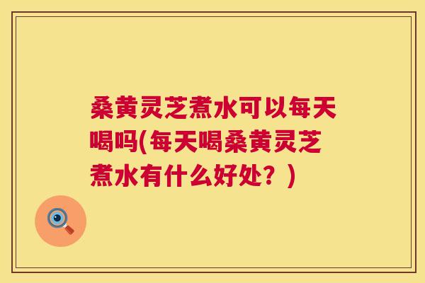 桑黄灵芝煮水可以每天喝吗(每天喝桑黄灵芝煮水有什么好处?) 桑黄灵芝煮水可以每天喝吗(每天喝桑黄灵芝煮水有什么好处?)