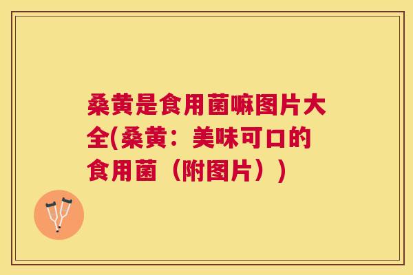 桑黄是食用菌嘛图片大全(桑黄:美味可口的食用菌(附图片)) 桑黄是食用菌嘛图片大全(桑黄:美味可口的食用菌(附图片))