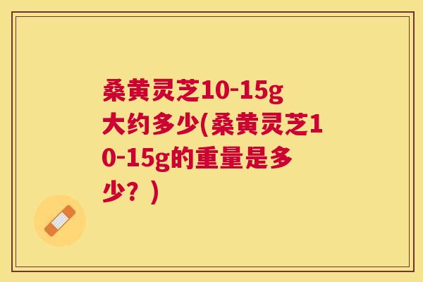 桑黄灵芝10-15g大约多少(桑黄灵芝10-15g的重量是多少?) 桑黄灵芝10-15g大约多少(桑黄灵芝10-15g的重量是多少?)