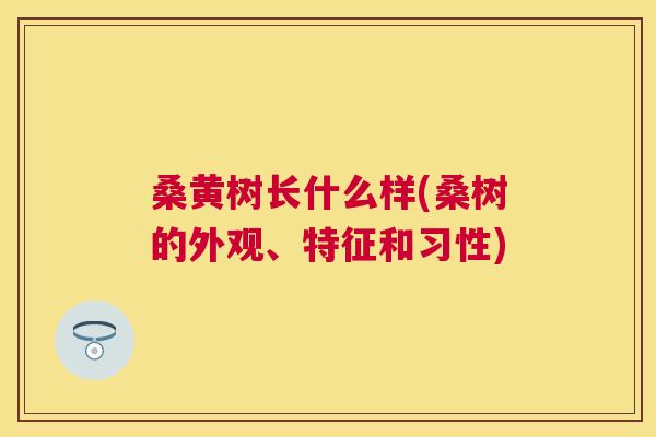 桑黄树长什么样(桑树的外观、特征和习性) 桑黄树长什么样(桑树的外观、特征和习性)