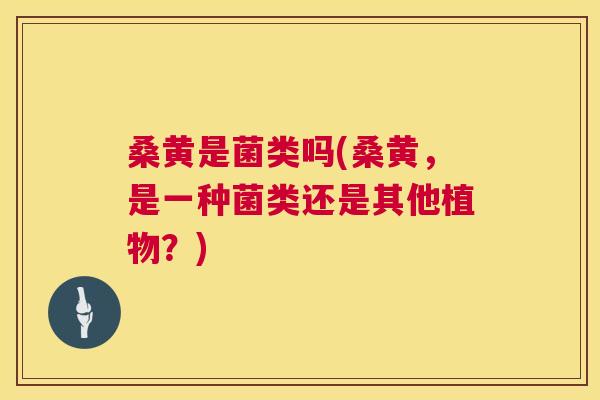 桑黄是菌类吗(桑黄,是一种菌类还是其他植物?) 桑黄是菌类吗(桑黄,是一种菌类还是其他植物?)