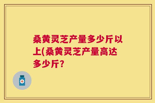 桑黄灵芝产量多少斤以上(桑黄灵芝产量高达多少斤? 桑黄灵芝产量多少斤以上(桑黄灵芝产量高达多少斤?