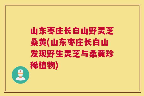 山东枣庄长白山野灵芝桑黄(山东枣庄长白山发现野生灵芝与桑黄珍稀植物) 山东枣庄长白山野灵芝桑黄(山东枣庄长白山发现野生灵芝与桑黄珍稀植物)