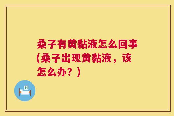 桑子有黄黏液怎么回事(桑子出现黄黏液,该怎么办?) 桑子有黄黏液怎么回事(桑子出现黄黏液,该怎么办?)