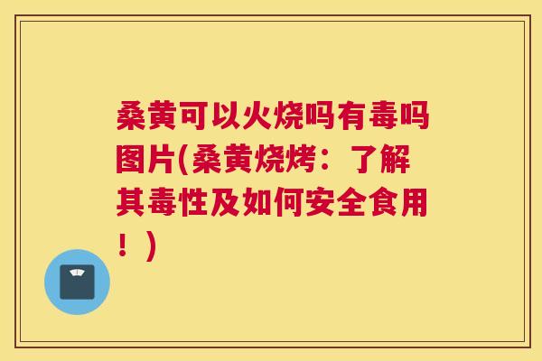 桑黄可以火烧吗有毒吗图片(桑黄烧烤:了解其毒性及如何安全食用!) 桑黄可以火烧吗有毒吗图片(桑黄烧烤:了解其毒性及如何安全食用!)