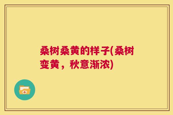 桑树桑黄的样子(桑树变黄,秋意渐浓) 桑树桑黄的样子(桑树变黄,秋意渐浓)