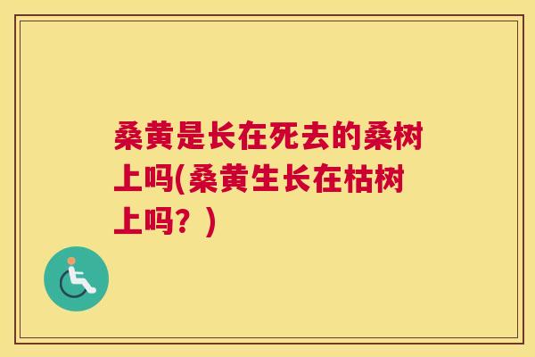 桑黄是长在死去的桑树上吗(桑黄生长在枯树上吗?) 桑黄是长在死去的桑树上吗(桑黄生长在枯树上吗?)