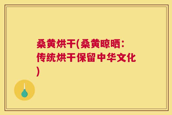 桑黄烘干(桑黄晾晒:传统烘干保留中华文化) 桑黄烘干(桑黄晾晒:传统烘干保留中华文化)