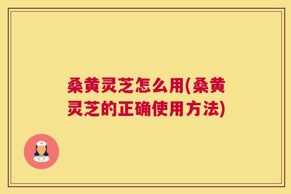 桑黄灵芝怎么用(桑黄灵芝的正确使用方法) 桑黄灵芝怎么用(桑黄灵芝的正确使用方法)