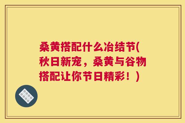 桑黄搭配什么冶结节(秋日新宠,桑黄与谷物搭配让你节日精彩!) 桑黄搭配什么冶结节(秋日新宠,桑黄与谷物搭配让你节日精彩!)