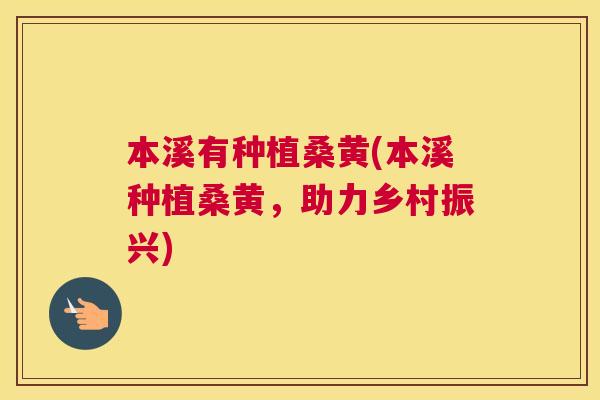 本溪有种植桑黄(本溪种植桑黄,助力乡村振兴) 本溪有种植桑黄(本溪种植桑黄,助力乡村振兴)