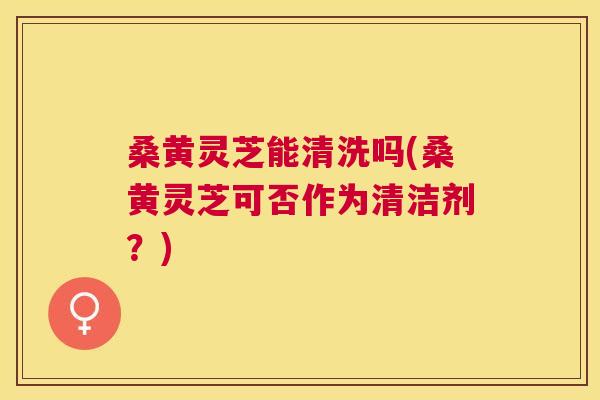 桑黄灵芝能清洗吗(桑黄灵芝可否作为清洁剂？)