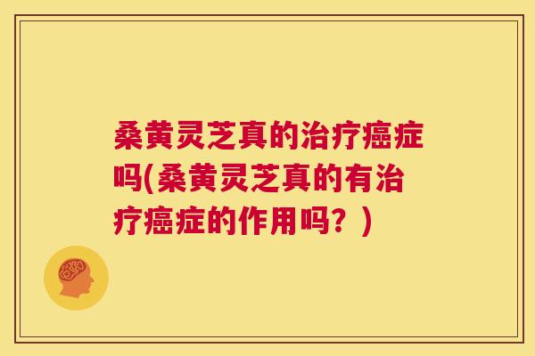 桑黄灵芝真的症吗(桑黄灵芝真的有症的作用吗?) 桑黄灵芝真的症吗(桑黄灵芝真的有症的作用吗?)