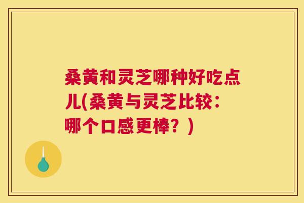 桑黄和灵芝哪种好吃点儿(桑黄与灵芝比较:哪个口感更棒?) 桑黄和灵芝哪种好吃点儿(桑黄与灵芝比较:哪个口感更棒?)