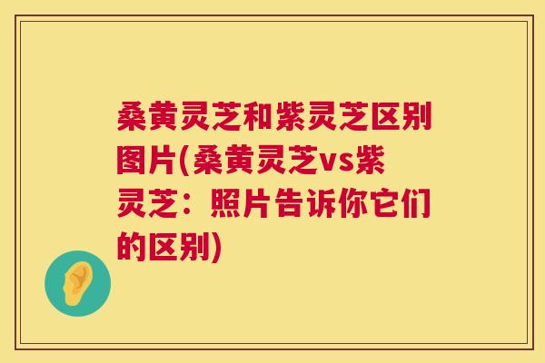 桑黄灵芝和紫灵芝区别图片(桑黄灵芝vs紫灵芝：照片告诉你它们的区别)