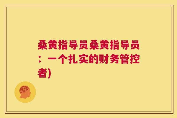 桑黄指导员桑黄指导员:一个扎实的财务管控者) 桑黄指导员桑黄指导员:一个扎实的财务管控者)