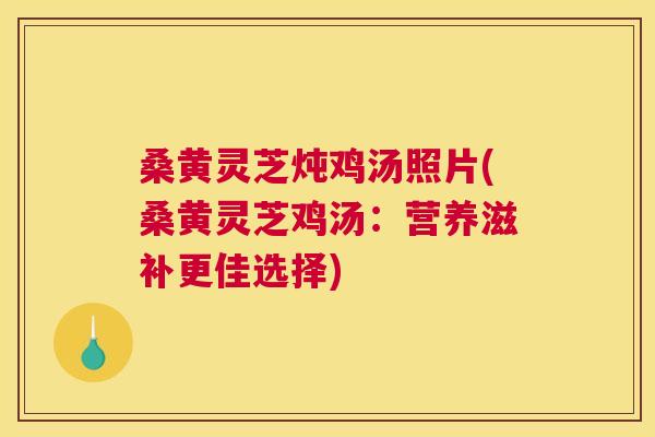 桑黄灵芝炖鸡汤照片(桑黄灵芝鸡汤:营养滋补更佳选择) 桑黄灵芝炖鸡汤照片(桑黄灵芝鸡汤:营养滋补更佳选择)