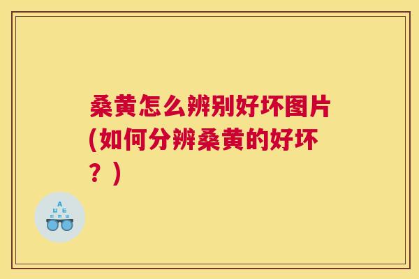 桑黄怎么辨别好坏图片(如何分辨桑黄的好坏?) 桑黄怎么辨别好坏图片(如何分辨桑黄的好坏?)