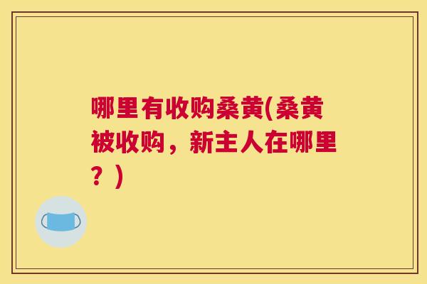 哪里有收购桑黄(桑黄被收购,新主人在哪里?) 哪里有收购桑黄(桑黄被收购,新主人在哪里?)