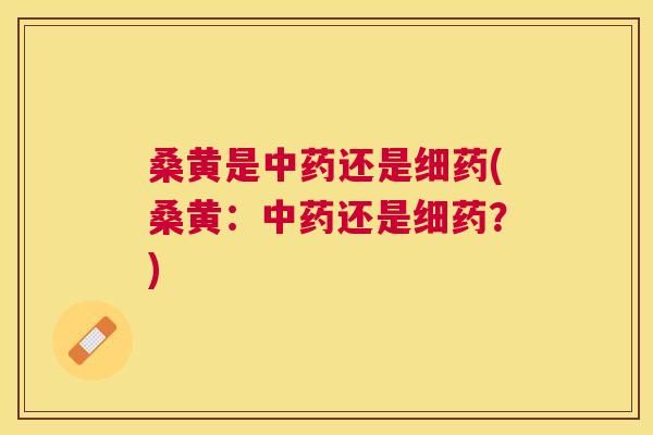 桑黄是还是细药(桑黄:还是细药?) 桑黄是还是细药(桑黄:还是细药?)