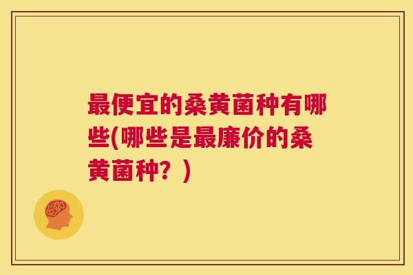 便宜的桑黄菌种有哪些(哪些是廉价的桑黄菌种?) 便宜的桑黄菌种有哪些(哪些是廉价的桑黄菌种?)