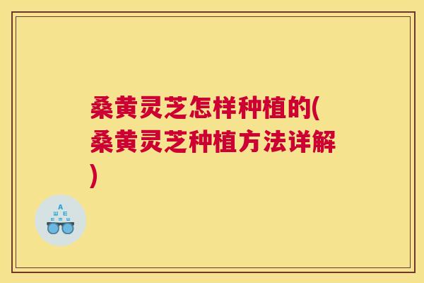 桑黄灵芝怎样种植的(桑黄灵芝种植方法详解)