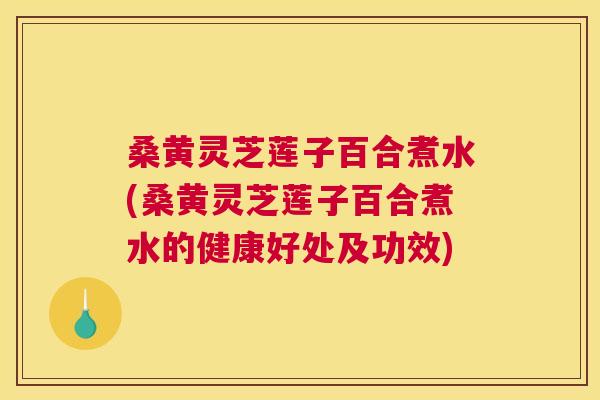 桑黄灵芝莲子百合煮水(桑黄灵芝莲子百合煮水的健康好处及功效) 桑黄灵芝莲子百合煮水(桑黄灵芝莲子百合煮水的健康好处及功效)