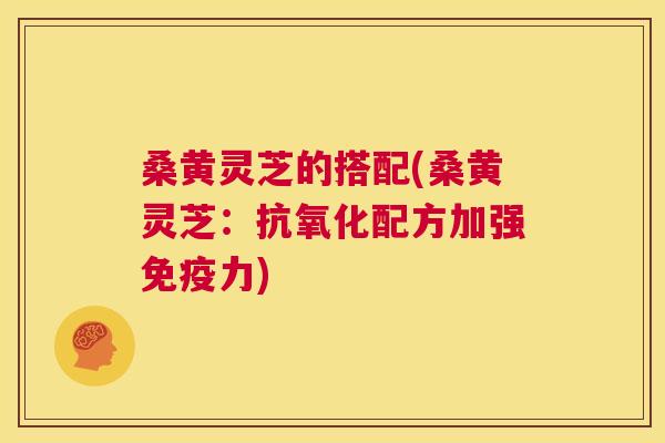桑黄灵芝的搭配(桑黄灵芝:配方加强力) 桑黄灵芝的搭配(桑黄灵芝:配方加强力)