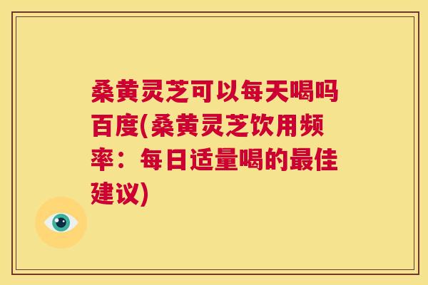 桑黄灵芝可以每天喝吗百度(桑黄灵芝饮用频率：每日适量喝的佳建议)